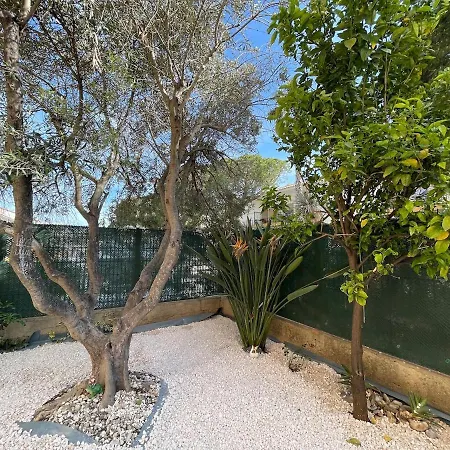 Seduisant T3 Avec Jardin 10 Proche Le Lavandou